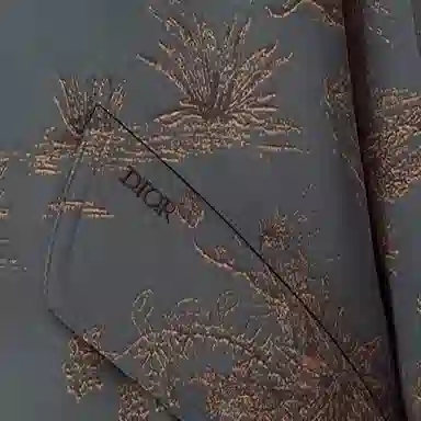 DIOR x Travis Scott FW22