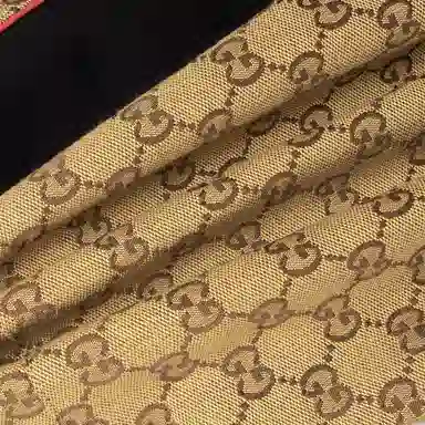 GUCCI x THE NORTH FACE FW21 Logo