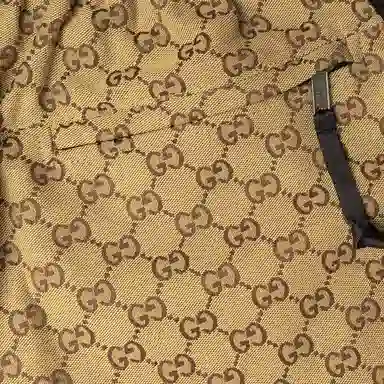 GUCCI x THE NORTH FACE FW21 Logo