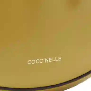 Coccinelle Drone