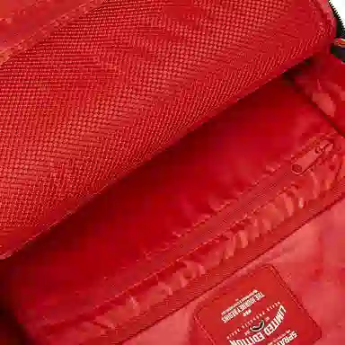 Sprayground Backpack Brown