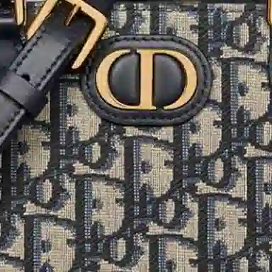 DIOR 30 Montaigne CD Oblique