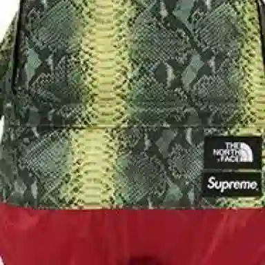 Supreme x The North Face SS18 Backpack Green