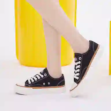 Dickies Canvas Low Black