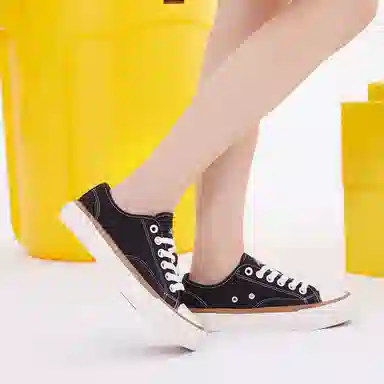 Dickies Canvas Low Black