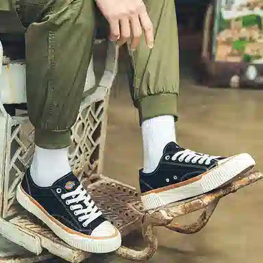 Dickies Canvas Low Black