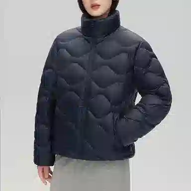 鸭鸭 通勤立领纯色拉链长袖羽绒服 女款