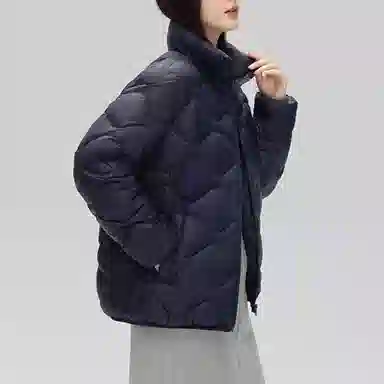 鸭鸭 通勤立领纯色拉链长袖羽绒服 女款