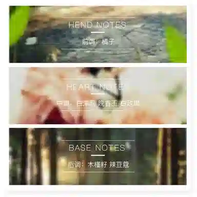 Serge Lutens EDP 50ml100ml