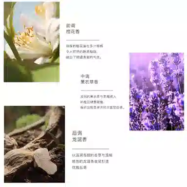 YSL Libre Eau de Toilette