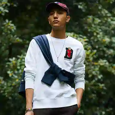 Dickies