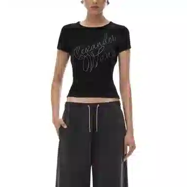 alexander wang FW24 T