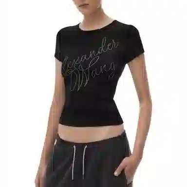 alexander wang FW24 T