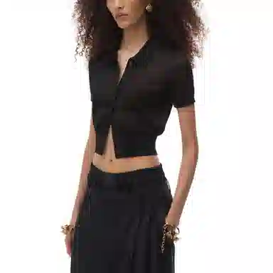 alexander wang FW24 Polo