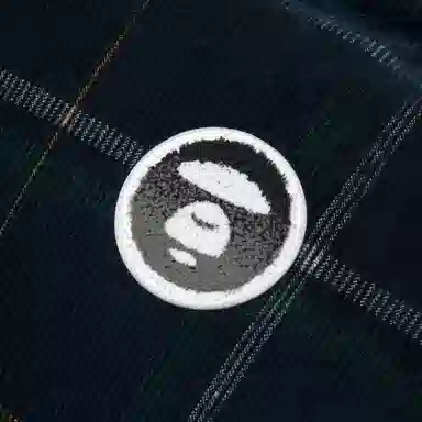 Aape Reversible Vest