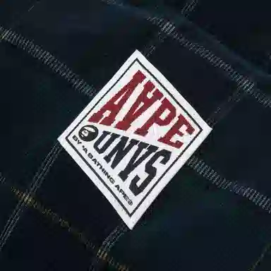 Aape Reversible Vest