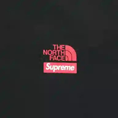 Supreme x The North Face Statue of Liberty Tee Black