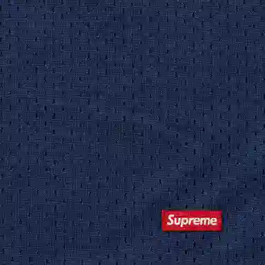 Supreme SS24 Small Box Baggy Mesh Shorts