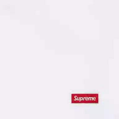 Supreme SS24 Small Box Baggy Mesh Shorts