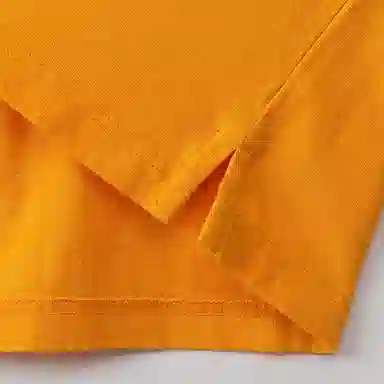 Champion Logopolo