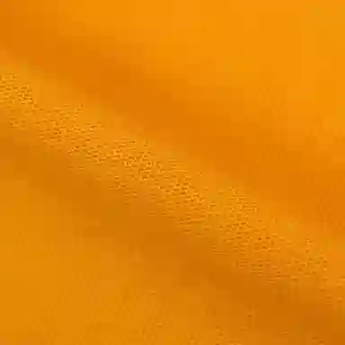 Champion Logopolo