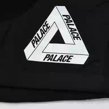 PALACE FW22 Polartec Shell Shorts