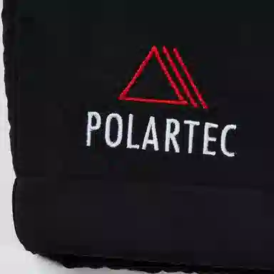PALACE FW22 Polartec Shell Shorts