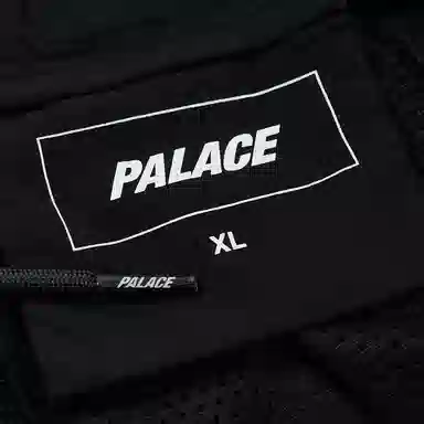 PALACE FW22 Polartec Shell Shorts