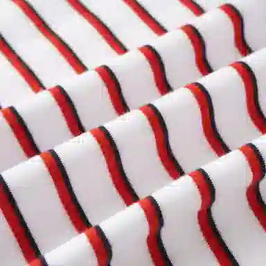 Tommy Hilfiger SS25 T
