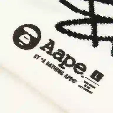 Aape 1