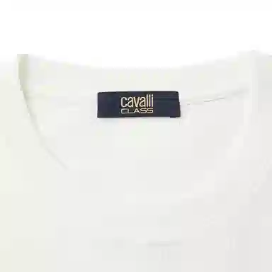 Cavalli Class T