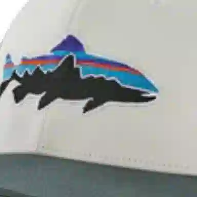 patagonia