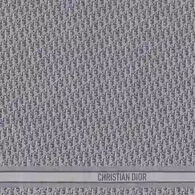 DIOR Oblique