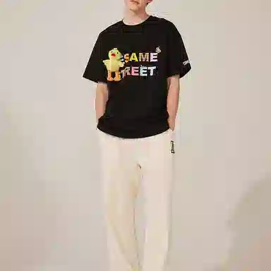 TSMLXLT T