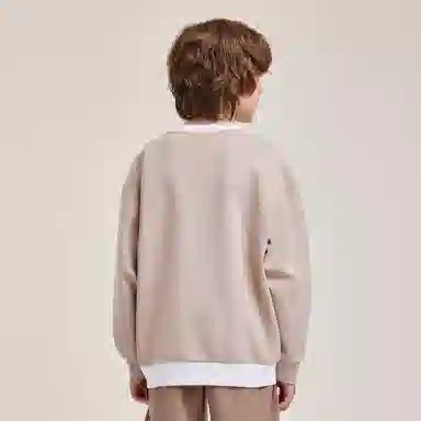 Mizuno Colorblock Pullover Sweatshirt Kids