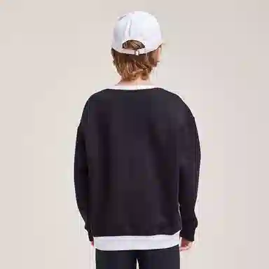 Mizuno Colorblock Pullover Sweatshirt Kids