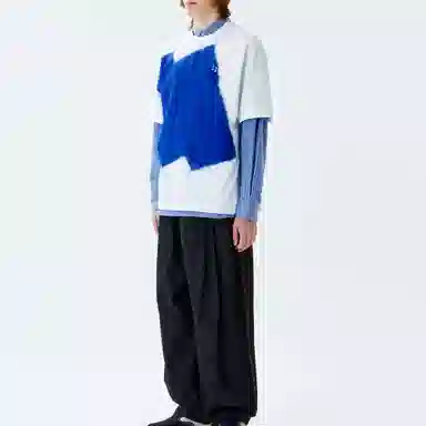 ADER ERROR T