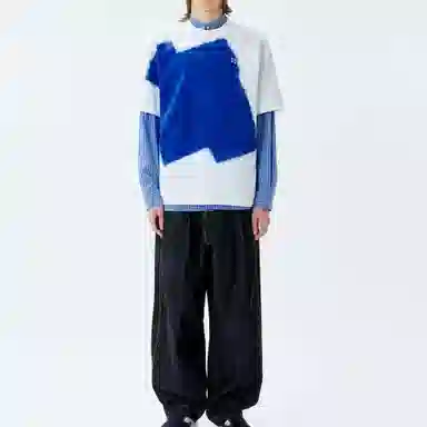 ADER ERROR T