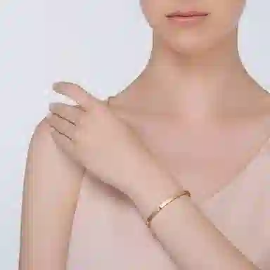 Cartier Love Bracelet 18K Rose Gold