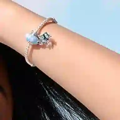 Pandora Bracelet