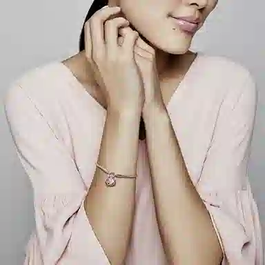 Pandora Bracelet