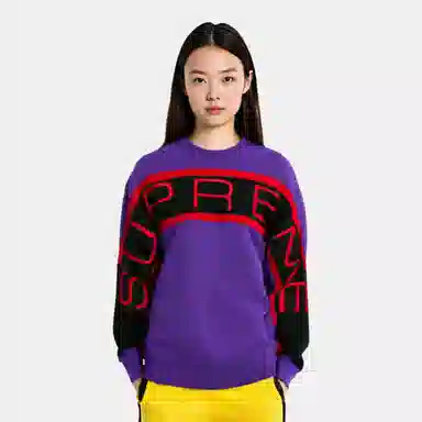 Supreme Paneled Crewneck
