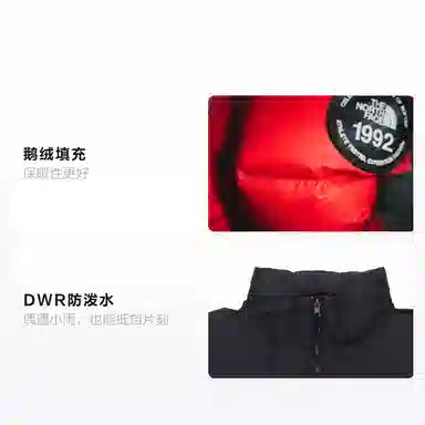 THE NORTH FACE 1992 30 Logo