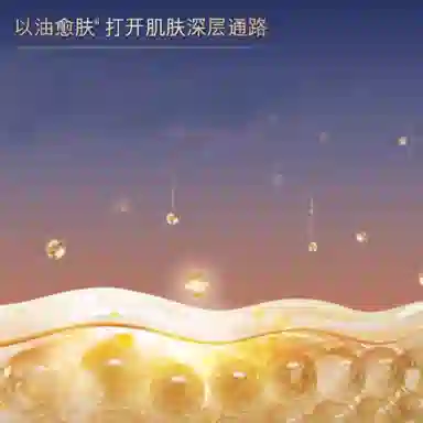 雅诗兰黛 限定大棕罐小棕瓶精华护肤套装 紧致保湿