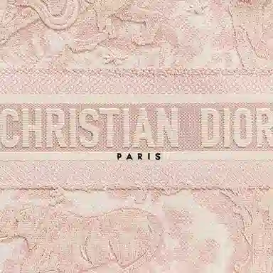 DIOR BookTote Logo Tote
