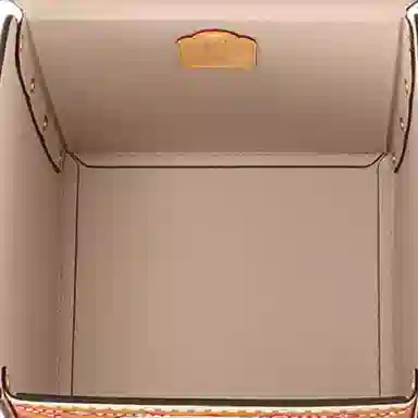 LOUIS VUITTON snires