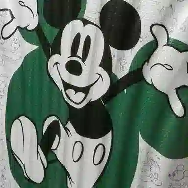 Samsonite x Disney C-Lite