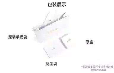 DIOR Toujours CD Lock Tote nano