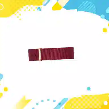 Daniel Wellington 250*20mm DW00200207-208