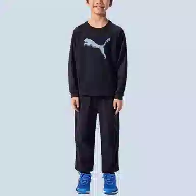 PUMAT PERFORMANCE WiseOry